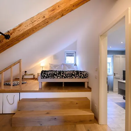Loft 公寓 *